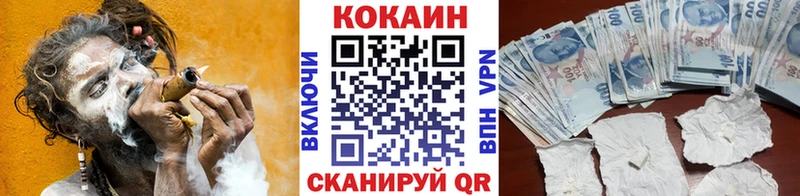 где купить   Шенкурск  COCAIN FishScale 