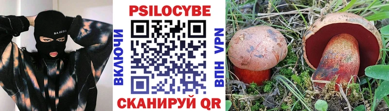 Галлюциногенные грибы Psilocybine cubensis  Шенкурск 