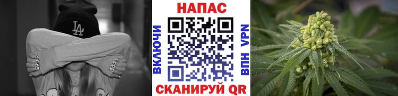 МАРИХУАНА планчик  даркнет сайт  Шенкурск 